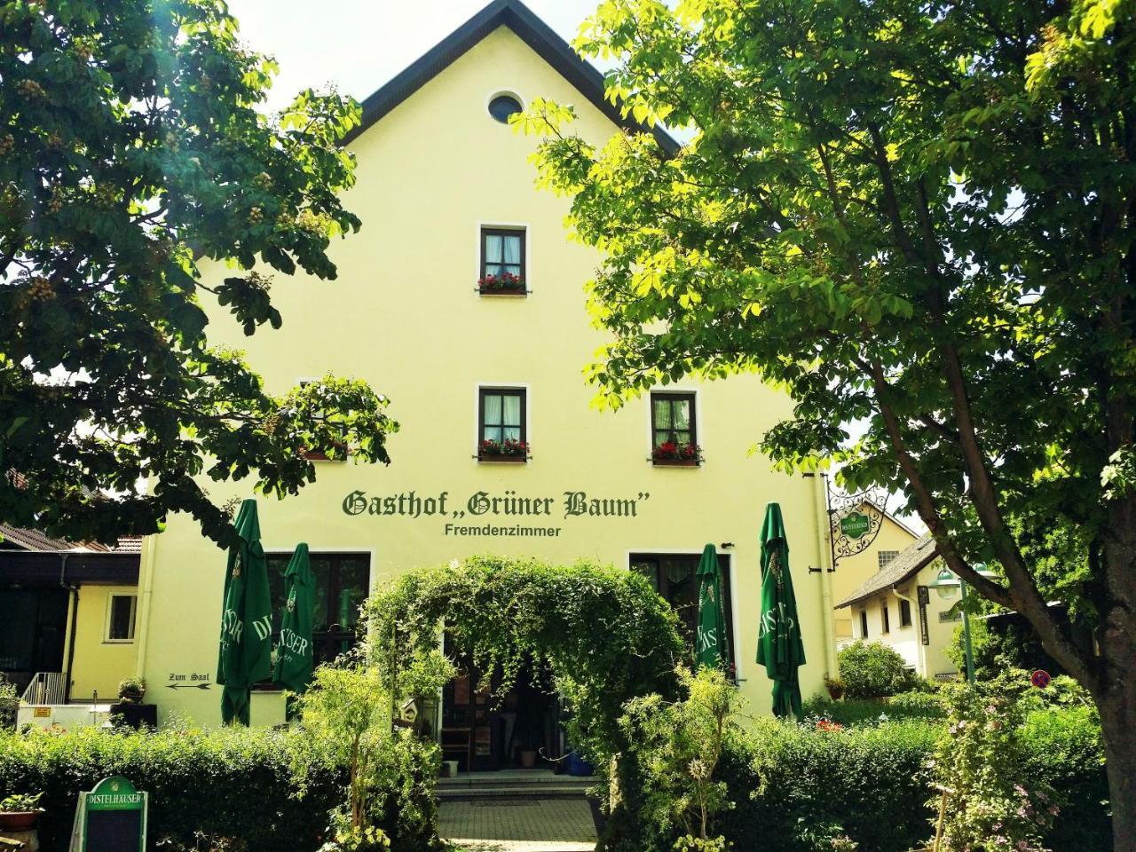 Hotel-Landgasthof Gruener Baum - Dittigheim 타우버비쇼프스하임 외부 사진